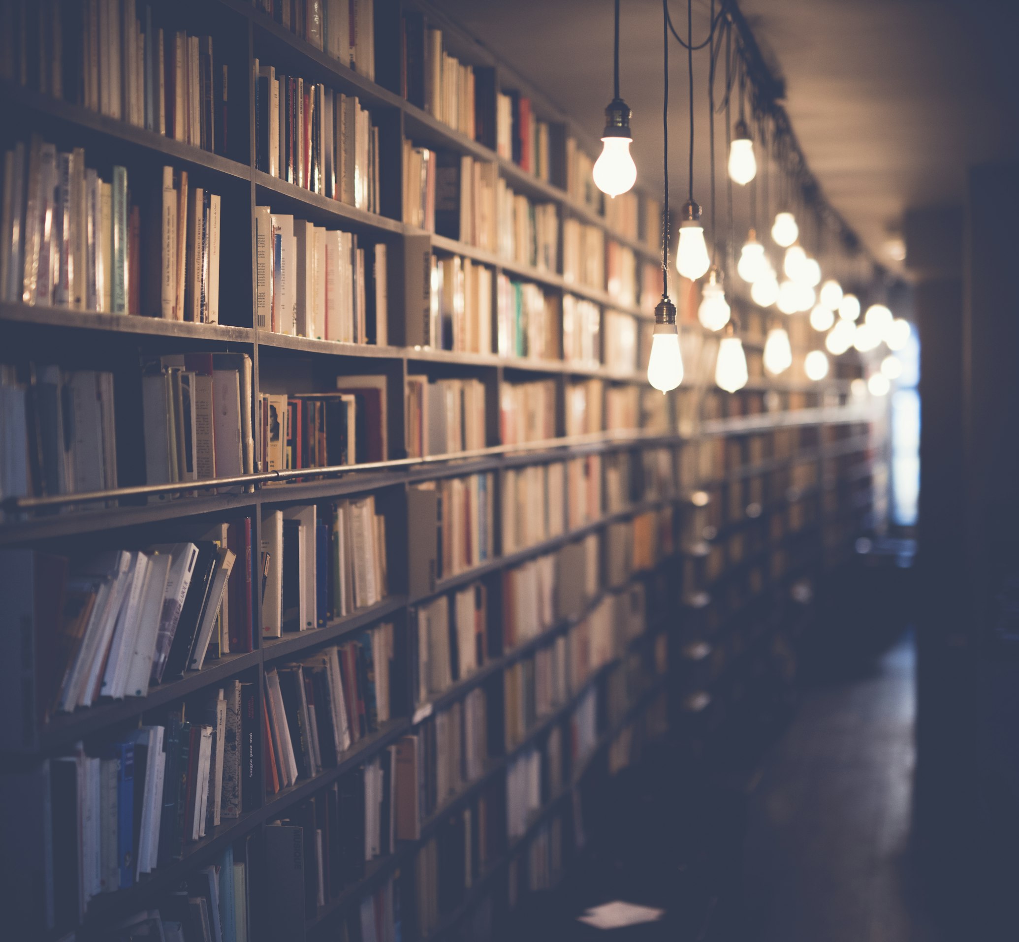 Indian Constitution and Law Books